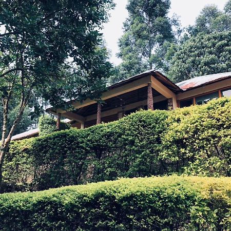 Bwindi Forest Lodge Buhoma Екстериор снимка