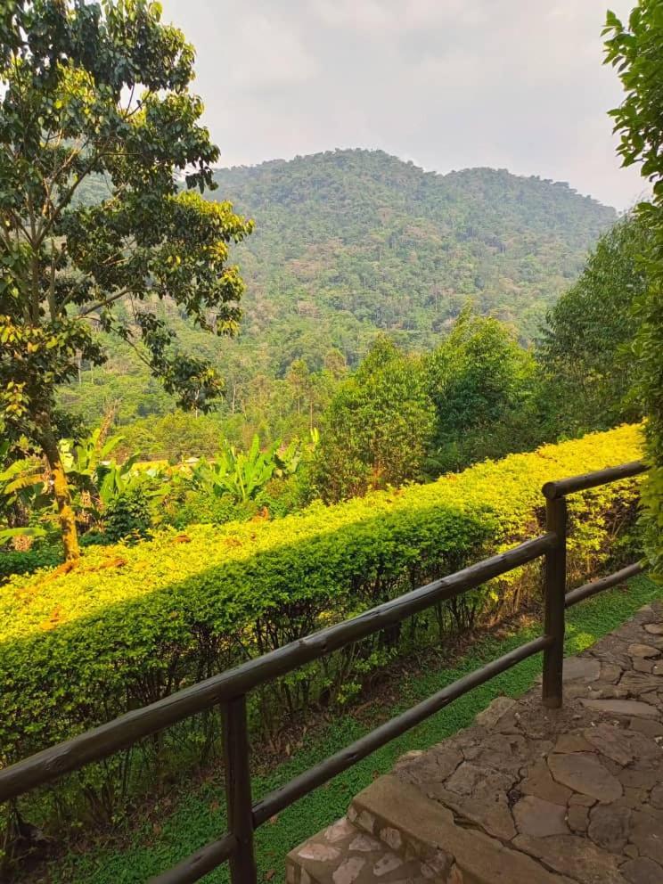 Bwindi Forest Lodge Buhoma Екстериор снимка